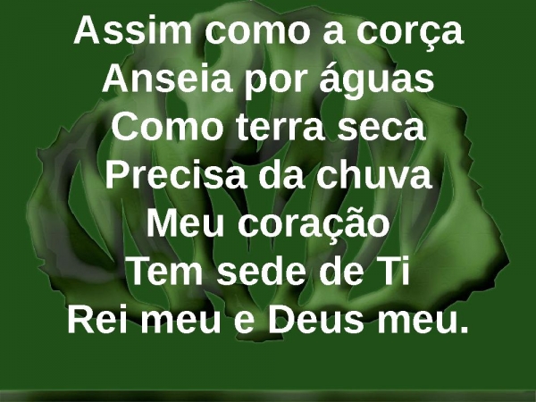 FAZ CHOVER - página 5