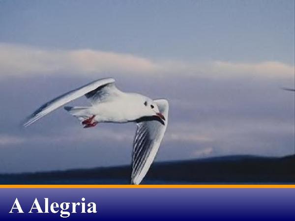 A ALEGRIA.ppt - página 1