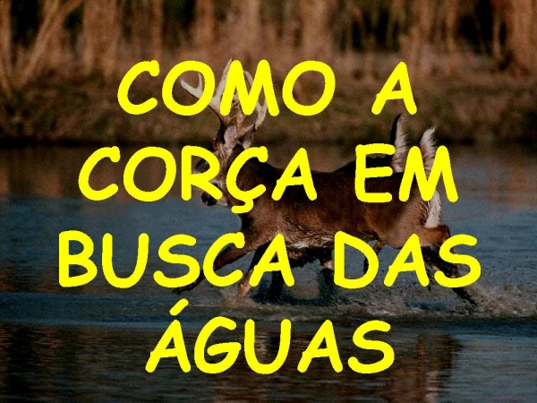 CORRENDO PROS TEUS BRAÇOS - página 24