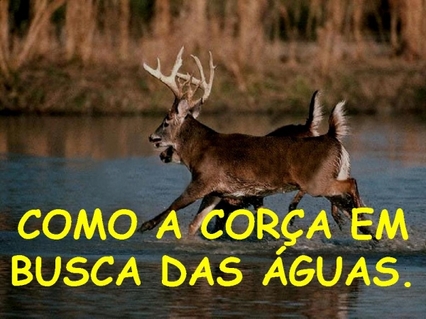 CORRENDO PROS TEUS BRAÇOS - página 9