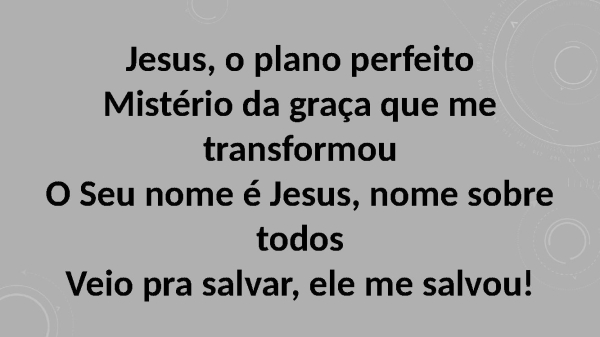 Jesus, O plano perfeito - página 4