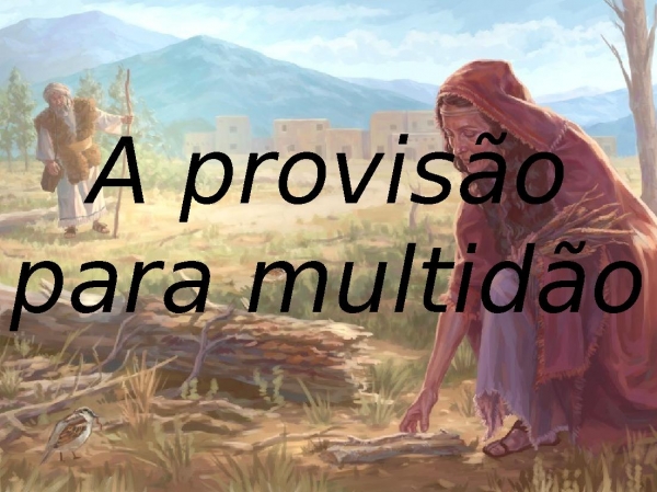 É No Pouquinho - Antônia Gomes.pptx - página 16