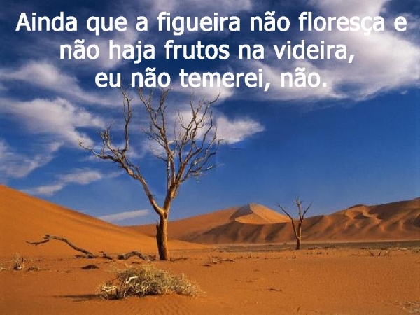 O meu Deus é maior que os meu problemas - página 4