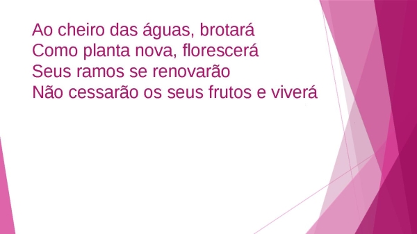AO CHEIRO DAS AGUAS - página 6