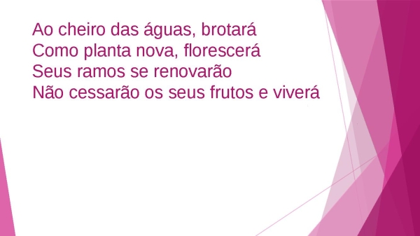 AO CHEIRO DAS AGUAS - página 7