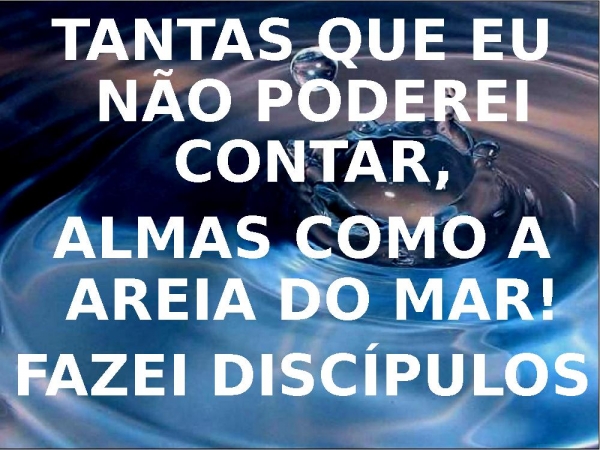 REDE AO MAR - página 8