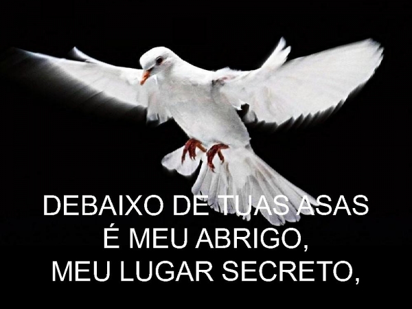 EU NÃO PRECISO SER RECONHECIDO POR NINGUÉM - página 19