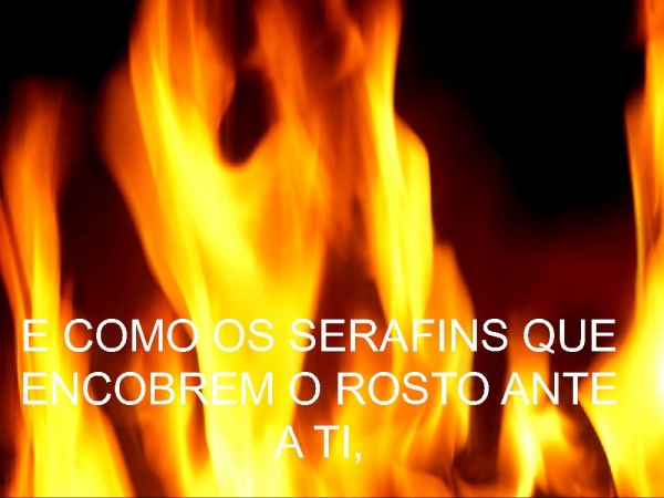 EU NÃO PRECISO SER RECONHECIDO POR NINGUÉM - página 4