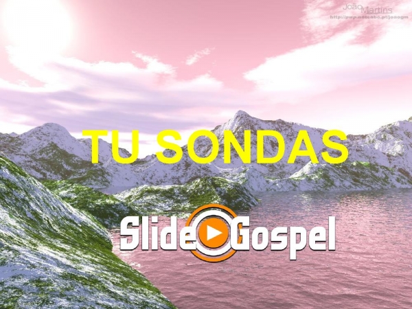 TU SONDAS - página 1