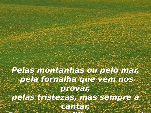 Deus guia seus filhos em paz - página 8