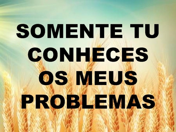 DESEJO MISSIONÁRIO.pptx - página 11