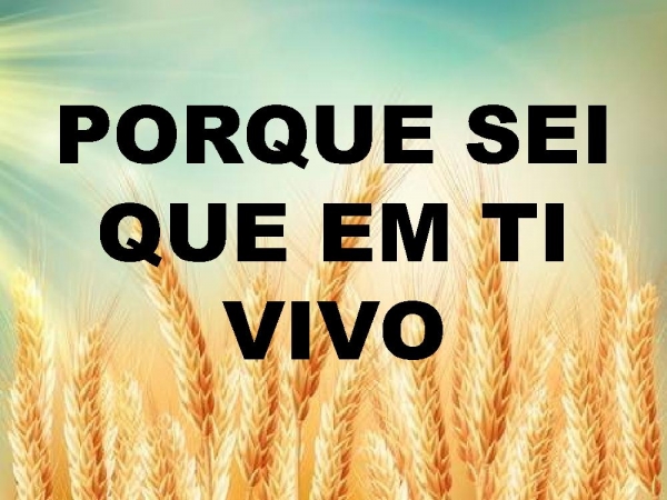 DESEJO MISSIONÁRIO.pptx - página 13