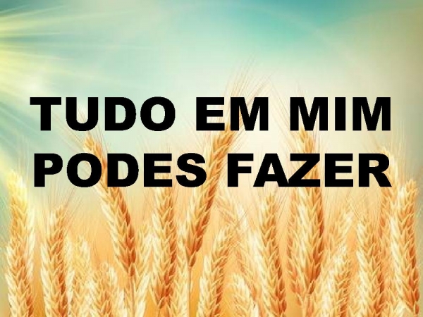 DESEJO MISSIONÁRIO.pptx - página 14