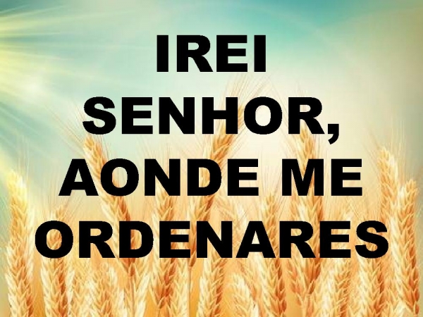 DESEJO MISSIONÁRIO.pptx - página 15