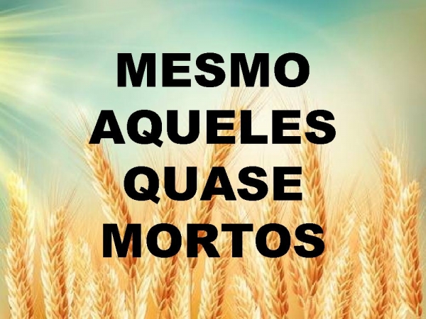 DESEJO MISSIONÁRIO.pptx - página 8