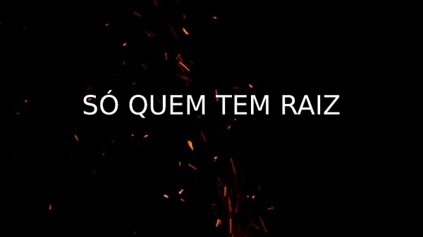 SO QUEM TEM RAIZ.pptx - página 1