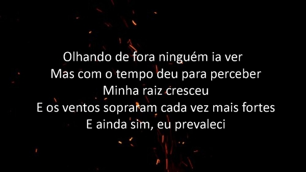 SO QUEM TEM RAIZ.pptx - página 3