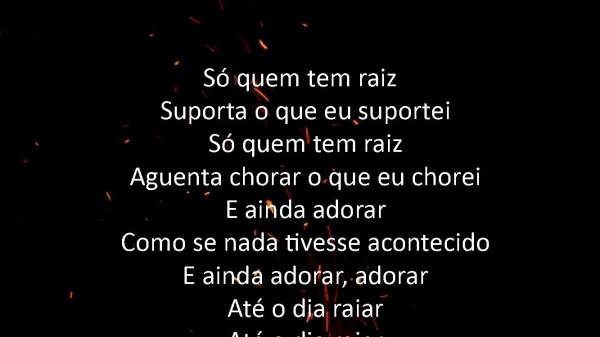 SO QUEM TEM RAIZ.pptx - página 4