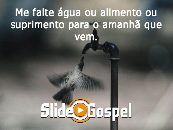 Me falte água, ou alimento - página 1