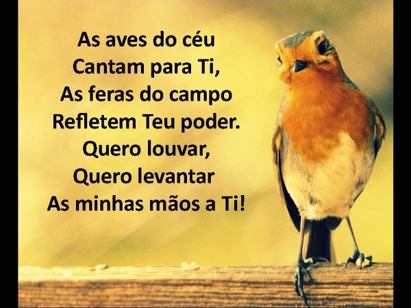Quero louvar-te - página 4