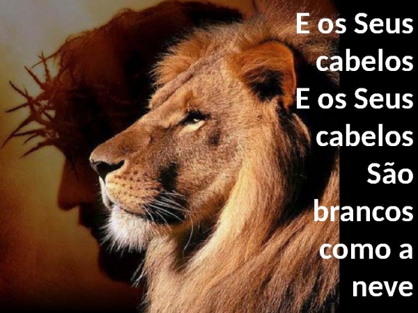 O tempo de Cantar (Ele vem) - página 3