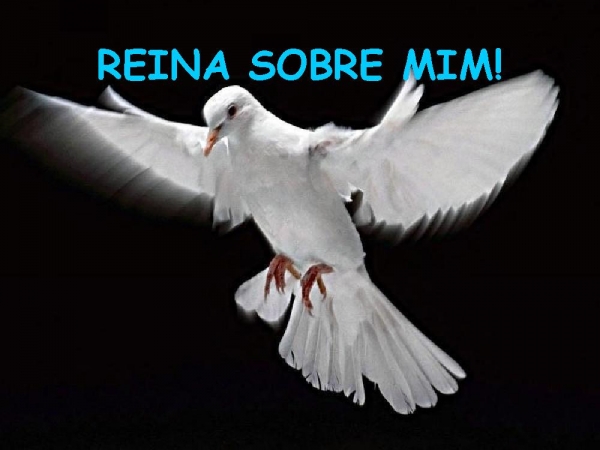CORREREI PARA TI, MEU SENHOR! - página 22