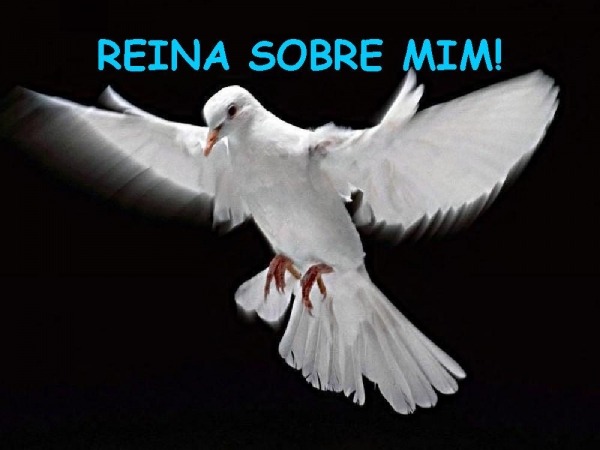CORREREI PARA TI, MEU SENHOR! - página 27