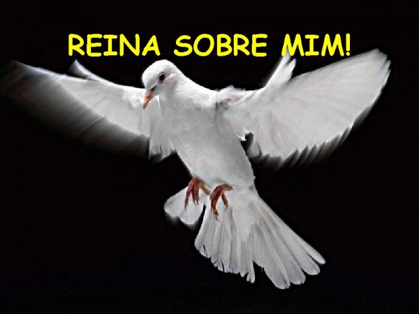 CORREREI PARA TI, MEU SENHOR! - página 9