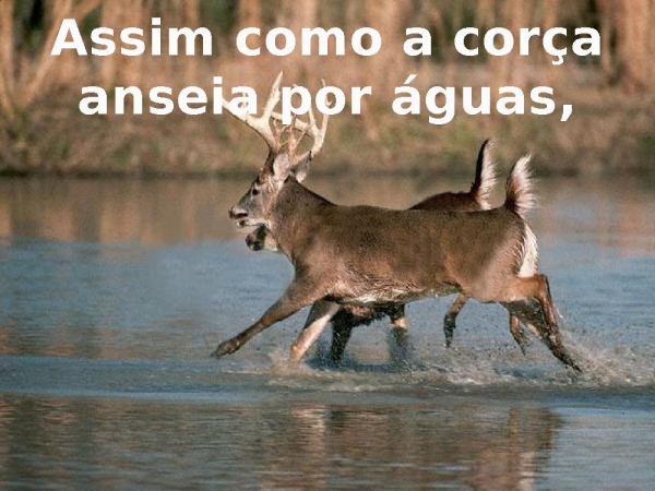 Faz chover - página 2