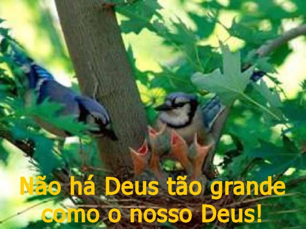 Não há Deus maior - página 3