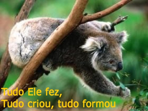 Não há Deus maior - página 6