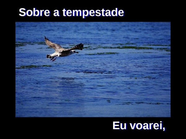 DESCANSAREI - página 18