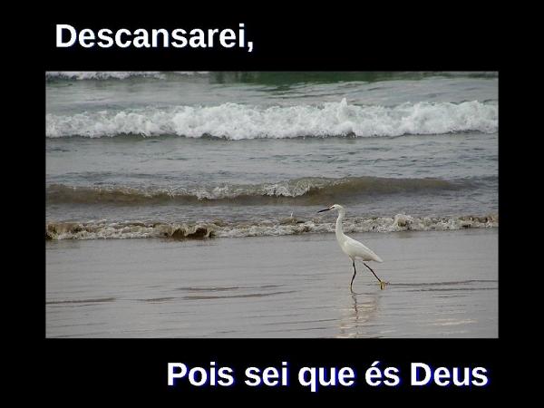 DESCANSAREI - página 6