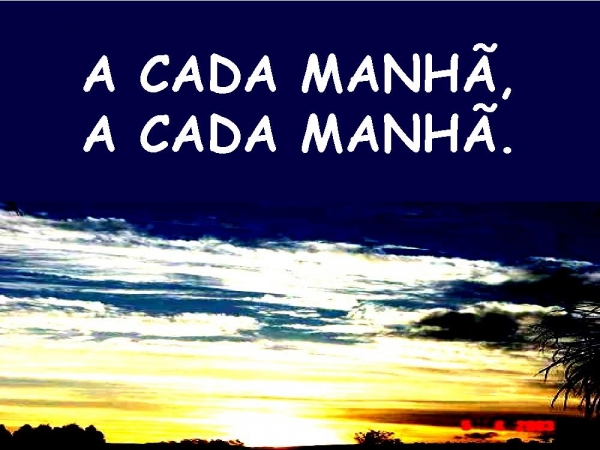 A CADA MANHÃ AS MISERICORDIAS - página 8