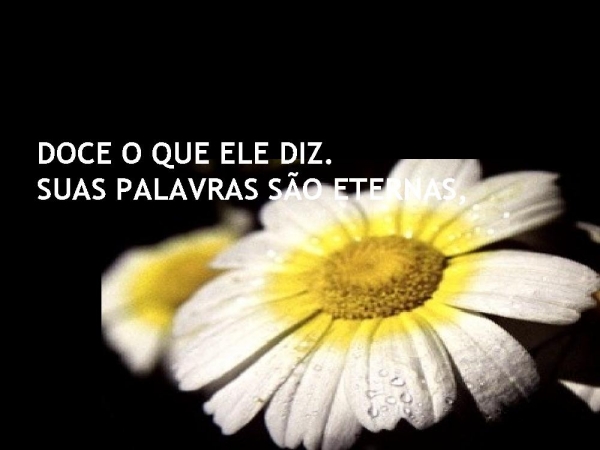 Face do Rei - página 2