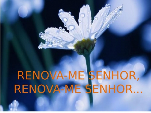 RENOVA-ME (Voz da Verdade).pptx - página 11