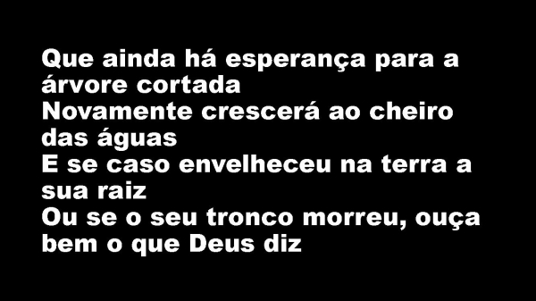 Árvore Cortada.pptx - página 11