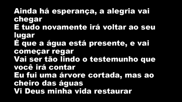 Árvore Cortada.pptx - página 12