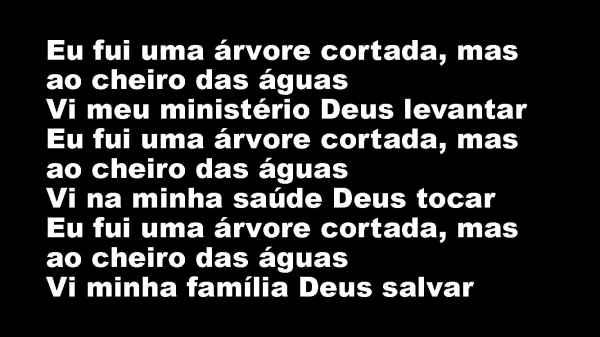 Árvore Cortada.pptx - página 13