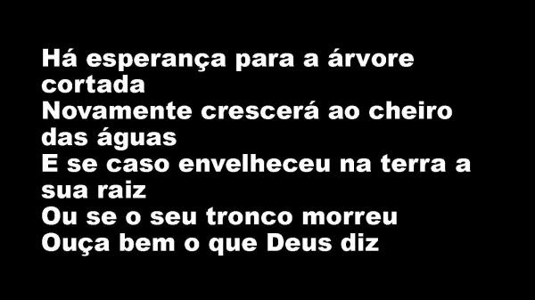 Árvore Cortada.pptx - página 4