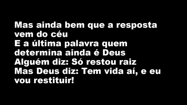 Árvore Cortada.pptx - página 6