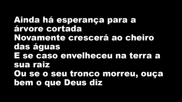 Árvore Cortada.pptx - página 7
