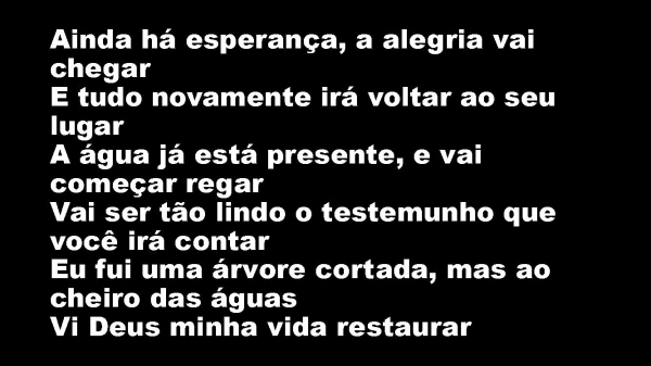 Árvore Cortada.pptx - página 8