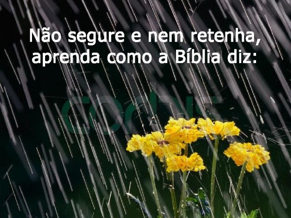 Dê que Deus te concederá - página 16