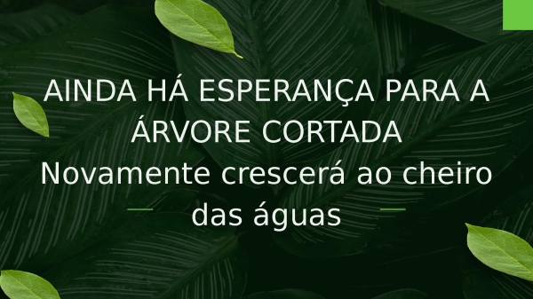 Árvore Cortada - página 12