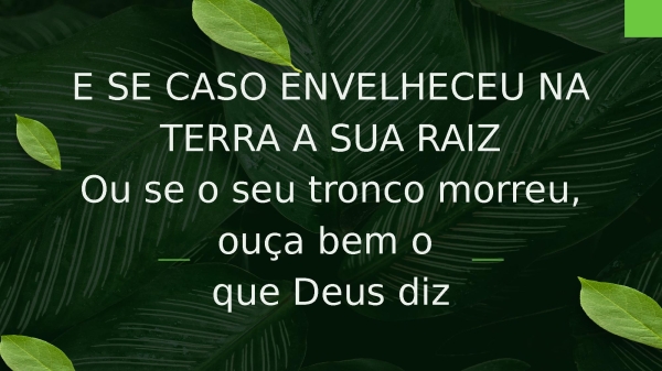 Árvore Cortada - página 13