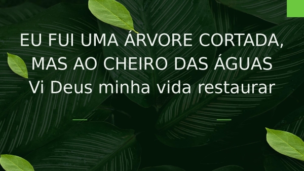 Árvore Cortada - página 16