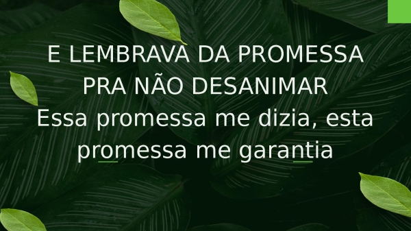 Árvore Cortada - página 20
