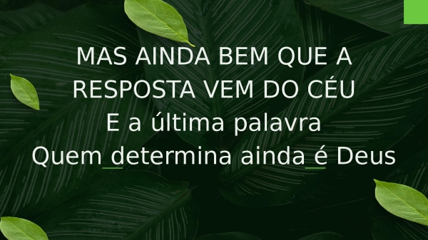 Árvore Cortada - página 3