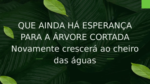 Árvore Cortada - página 21